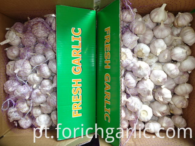 Crop 2019 White Garlic